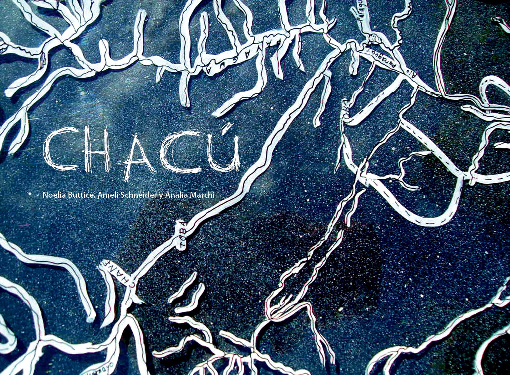 Hoy se presenta libro álbum “Chacú”|Ko árape ojekuaauka aranduka “Chacú” imagen