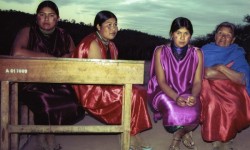 Mujeres de la tierra|Mujeres de la tierra imagen