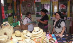 Cultura y Economía Solidaria|Jepasea Paraguay yma guare rehe imagen