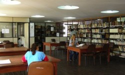 Biblioteca Nacional y la UNA reciben importante donación de libros|Tetã Biblioteca ha UNA ohupyty heta aranduka jopóirõ imagen