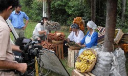 Película paraguaya se exhibirá en Ecuador|Película paraguaigua ojehechaukáta Ecuador-pe imagen