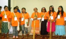Ejecutivo presentará sistematización del primer encuentro de mujeres guaraníes imagen