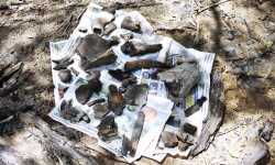 Conferencia sobre hallazgo de urnas indígenas en Carapegua y restos fósiles en Puerto Pinasco imagen