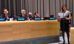 La Ministra Graciela Bartolozzi participó en el Debate sobre Cultura y Desarrollo en la sede de las Naciones Unidas en New York imagen