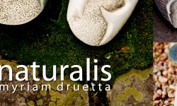 “Naturalis” de la ceramista argentina Myriam Druetta, en el Museo Nacional de Bellas Artes imagen