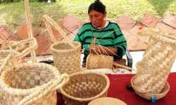 Cultura invita a la VI Feria de Cestería Indígena imagen