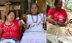 Cultura trabaja con asociaciones de comunidades indígenas imagen