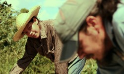El filme nacional Latas vacías se exhibe nuevamente en Asunción imagen
