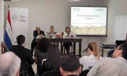 Debaten sobre la Cuenta Satélite de Cultura en el Paraguay imagen