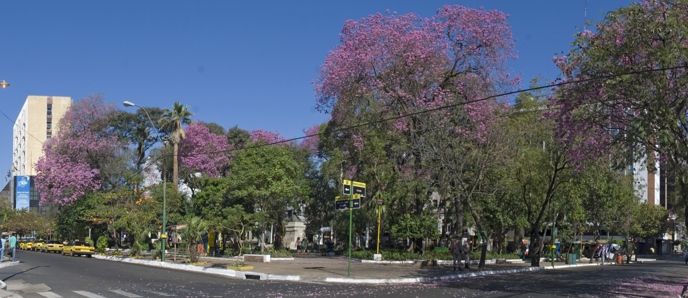 Feria del Fotociclo llega al Barrio Catedral y propone redescubrir Asunción a través de fotografías imagen