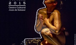 “Puentes” de encuentro entre artistas contemporáneos de Latinoamérica imagen