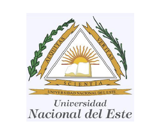 Universidad Nacional del Este imagen