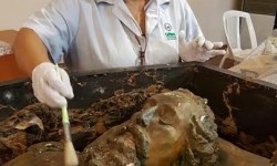 Funcionarios de Cultura realizan un arduo trabajo de restauración del ataúd del General Díaz imagen