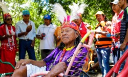 Acompañan fiesta cultural de la comunidad Quemkuket del pueblo Maká imagen