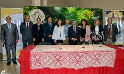 Paraguay preside la Federación Latinoamericana de Ciudades Turísticas imagen