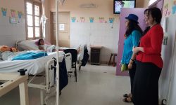 “Cuentos en Navidad”: Escritores visitan Emergencias Médicas y Centro San José de Cluny imagen