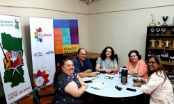 Mercosur Cultural: Ultiman detalles para las reuniones de la Presidencia Pro Tempore de Paraguay en Ciudad del Este imagen