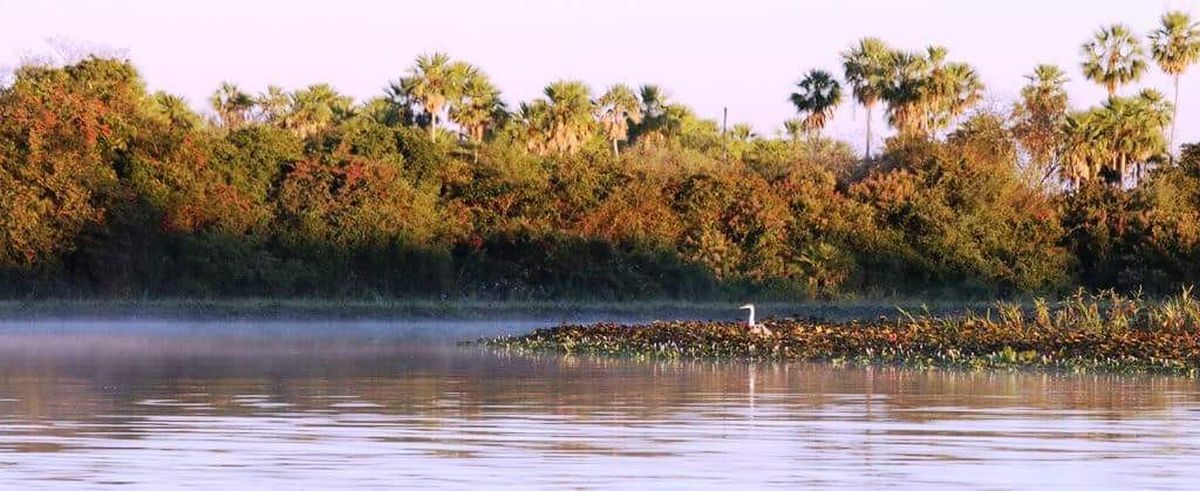 Organizan taller del plan de gestión sostenible y participativa para el Pantanal imagen