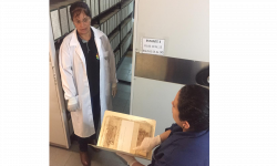 Funcionarios del Archivo Nacional se capacitan con expertas peruanas en conservación y catalogación imagen