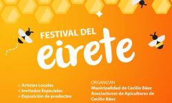 Realizarán el Primer Festival del Eireté en la ciudad Dr. Cecilio Báez de Caaguazú imagen