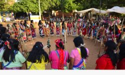 Realizarán actividades por el Año Internacional de Lenguas Indígenas en Paraguay imagen