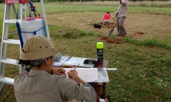 La SNC inicia estudios arqueológicos preventivos en el Campamento Cerro León imagen