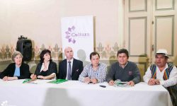 Por primera vez, Paraguay será sede del XVII Encuentro de Escritores del Mercosur imagen