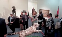 Más de 30 museos expusieron su valor cultural en el Museo Nacional de Bellas Artes imagen
