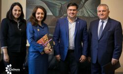 Paraguay y Turquía impulsarán un intercambio cultural imagen