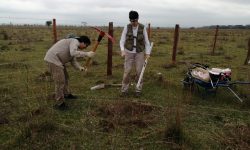 Realizan prospección arqueológica en predio donde construirán monumento conmemorativo de la Batalla de Acosta Ñu imagen