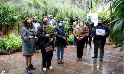 Con el proyecto “Cultura verde, Cultura del Pohã Ñana” la SNC reafirma el compromiso de fortalecer las costumbres ancestrales paraguayas imagen