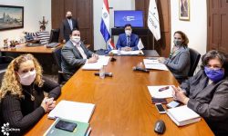 Covid-19 en el Mercosur: Ministro de la SNC destacó medidas adoptadas en Paraguay imagen