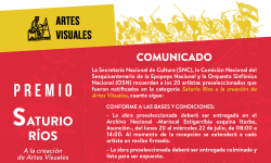 Comunicado para obras preseleccionadas: Concurso Nacional de Creación Artística por los 150 años de la Guerra Guasu imagen