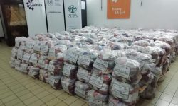 SNC recibe 1.300 kits de alimentos a través de KOICA Paraguay imagen