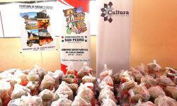 SNC entrega más de 200 kits de alimentos a artistas y trabajadores culturales de San Pedro imagen