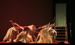 El Ballet Nacional de Paraguay participa del Festival Internacional de Danza contemporánea de Santa Cruz de la Sierra imagen