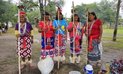 Unesco realiza este viernes consulta en línea para Pueblos Indígenas imagen