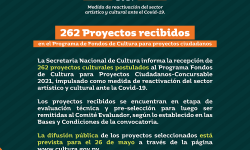 Reactivación cultural: SNC recepcionó 262 proyectos para el programa Fondos de Cultura 2021 imagen