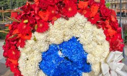 En Argentina, Ministro Capdevila acompañó presentación de ofrenda floral por la independencia de Paraguay imagen