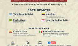 Paraguay impulsa la Conferencia virtual “Diversidad Cultural y Desarrollo Sostenible” imagen