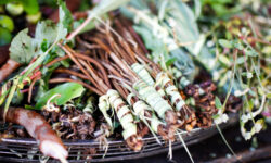 Prácticas y saberes tradicionales del tereré en la cultura del pohã ñana, bebida ancestral guaraní en Paraguay imagen