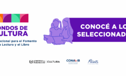 Fondos de Cultura para Proyectos de Fomento de la Lectura y el Libro 2025: Anuncio de proyectos seleccionados imagen